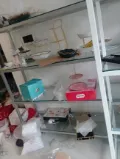 Biển Động Đầu Tháng 10: Gửi Hàng Tàu Biển Hay Xe Tải?