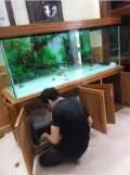 Chuyển Cửa Hàng Trọn Gói Hà Nội Đi Lào Cai